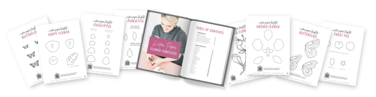 Square promo x px x px