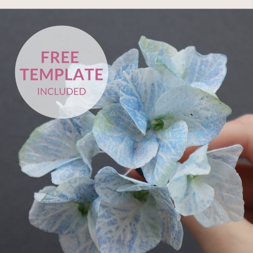 Wafer Paper Hydrangea Astashkina Cakes 1