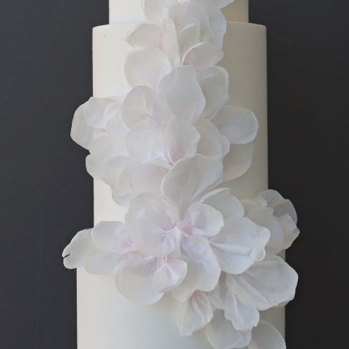 Wafer Paper Modern Cake Astashkina Cakes 2