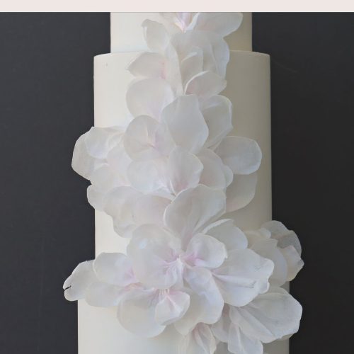 Wafer Paper Modern Cake Astashkina Cakes 2