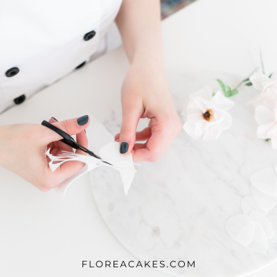Wedding Cake Contract to Build Client Confidence Florea Cakes