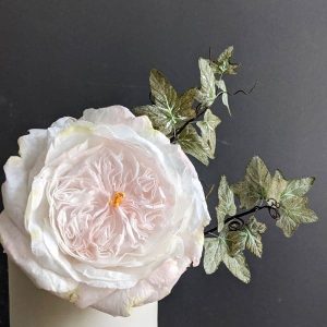 wafer paper david austin rose 1