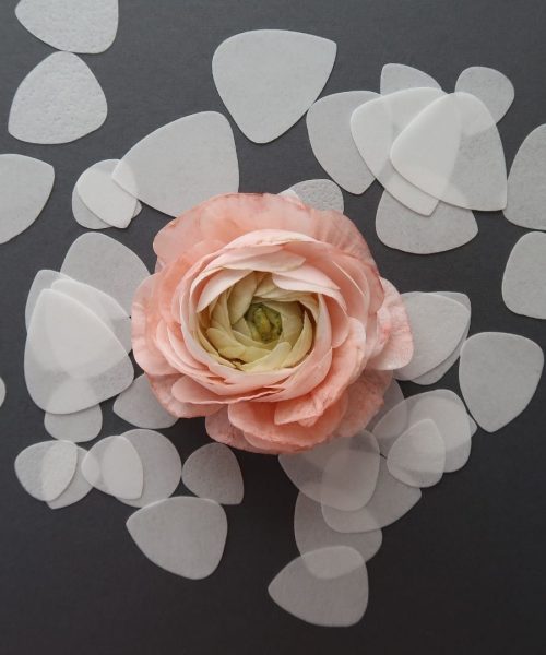 wafer paper ranunculus course astashkina 1